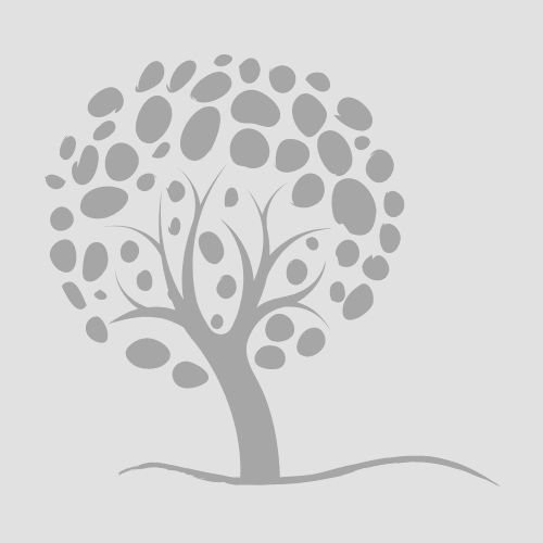 icongrey